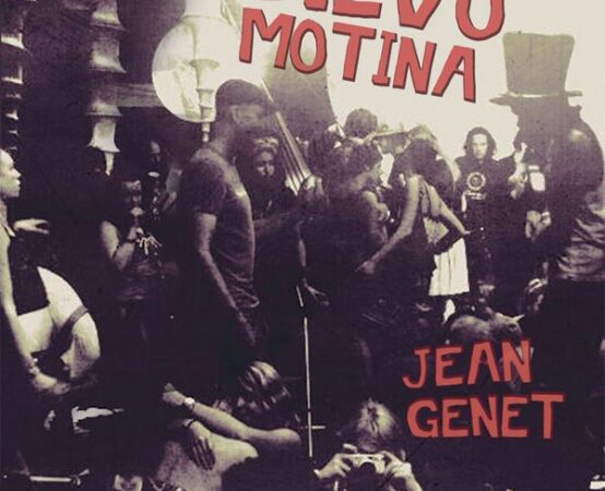Lietuviškai išleistas debiutinis J. Genet romanas „Gėlių Dievo motina“