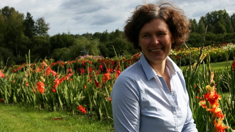 Botanikė pasakoja, kodėl kardeliai – Rugsėjo 1-osios gėlės (interviu)