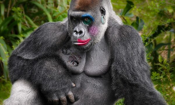 Kokia, vis dėlto, sekso prasmė?