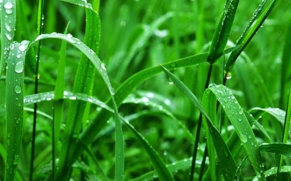 Orai: šilumą ir saulę greitai pakeis lietus ir gaiva