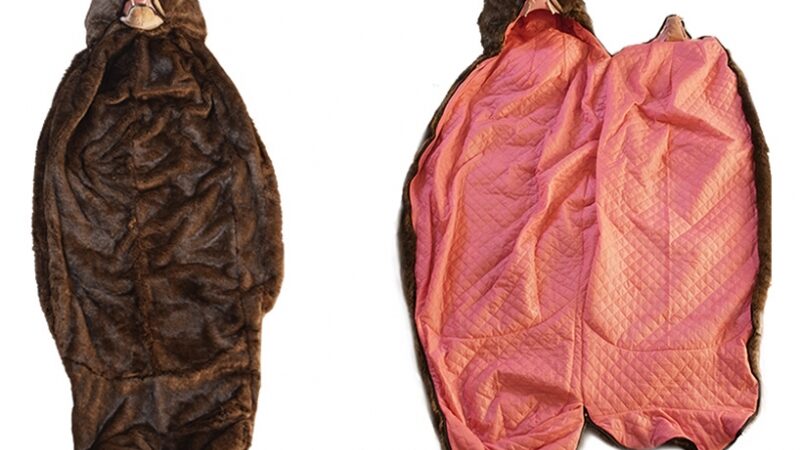 Daiktų pusryčiai. Turbūt geriausias miegmaišis iškylų mėgėjams (foto)