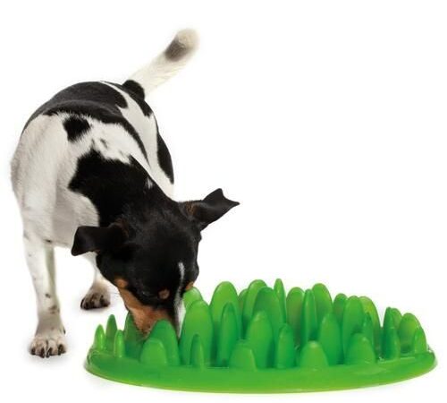 Daiktų pusryčiai. Išgelbėk savo augintinį nuo apsirijimo! (foto)