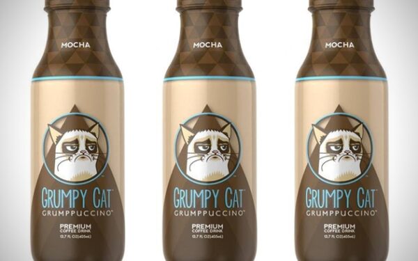 Daiktų pusryčiai. Šlovė neblėsta: paniurusios katės kava (foto)