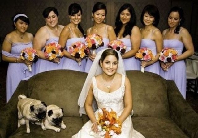 Sugadintos vestuvių nuotraukos: kai į kadrą pakliūva kai kas nepageidaujamo... (foto)