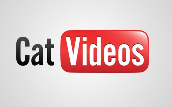 Video pusryčiai: visų laikų populiariausas „YouTube“ kačių video