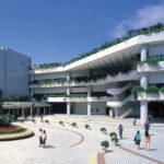 Honkongo profesoriaus įspėjimas studentams: „Nemokantys užsienio kalbos yra patekę į rimtą bėdą“