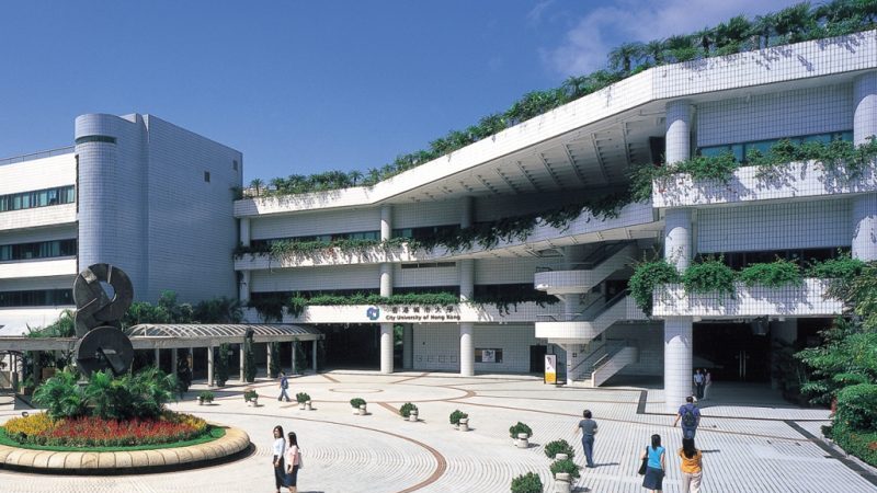 Honkongo profesoriaus įspėjimas studentams: „Nemokantys užsienio kalbos yra patekę į rimtą bėdą“