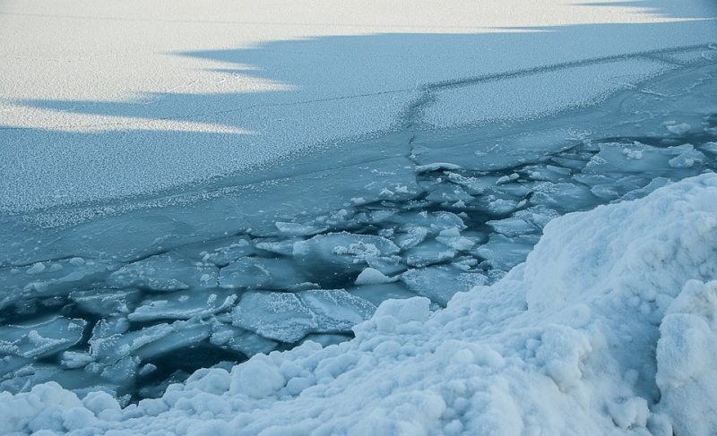 Turtus po ledu slepianti Arktis lengvo pelno neatneša