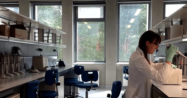 Jaunieji mokslininkai prestižiniame sintetinės biologijos konkurse pristatys žarnyno bakterijų programavimo metodą