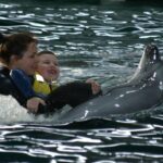 Jūrų muziejus delfinų Graikijai nedovanos