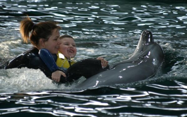 Jūrų muziejus delfinų Graikijai nedovanos