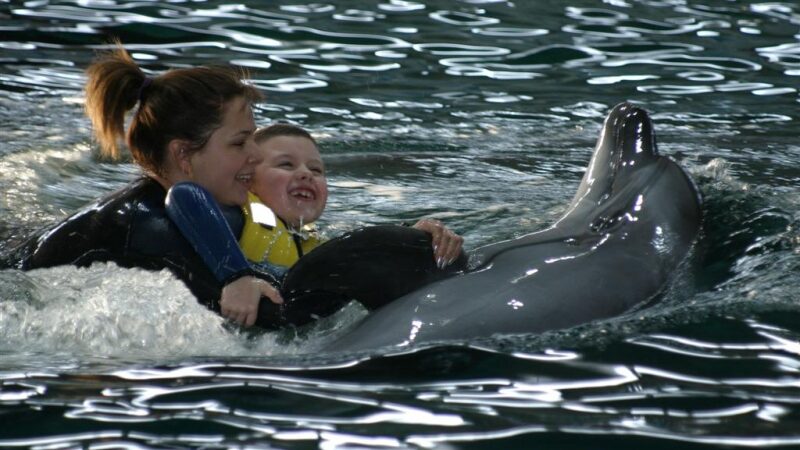 Jūrų muziejus delfinų Graikijai nedovanos