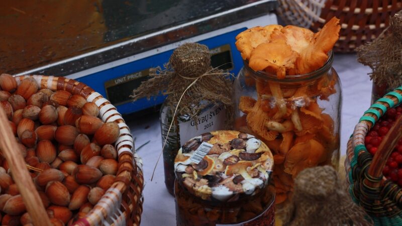 Varėnoje – grybavimo čempionatas ir Grybų šventė (Foto)