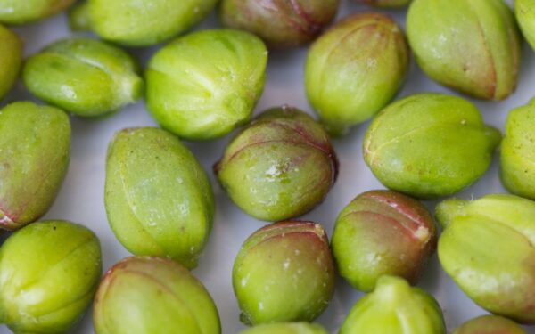 Kalakutienos kukuliai su kaparėlių padažu