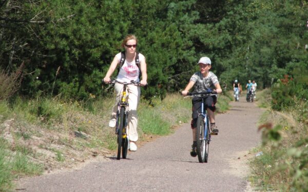 Dviračiai, motoroleriai, elektromobiliai… – ima viršų