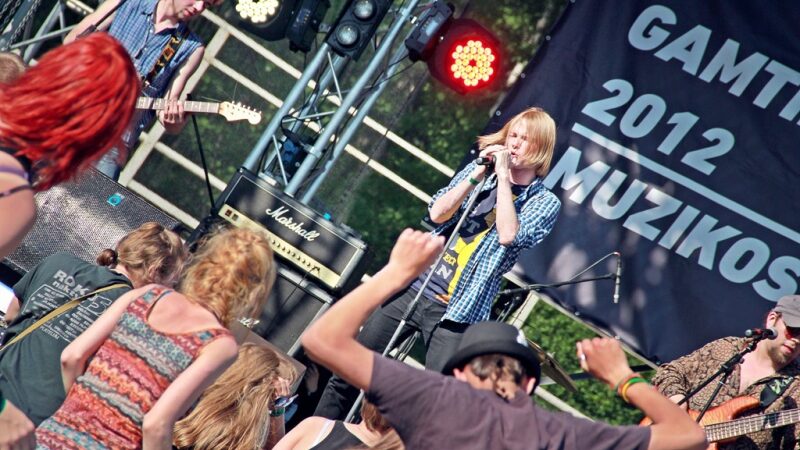 GaDi muzikos festivalis – trumpai ir jaukiai (foto)