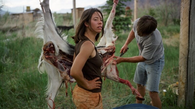 Didžiajame baseine pagal indėnų principus gyvenantys klajokliai (foto)