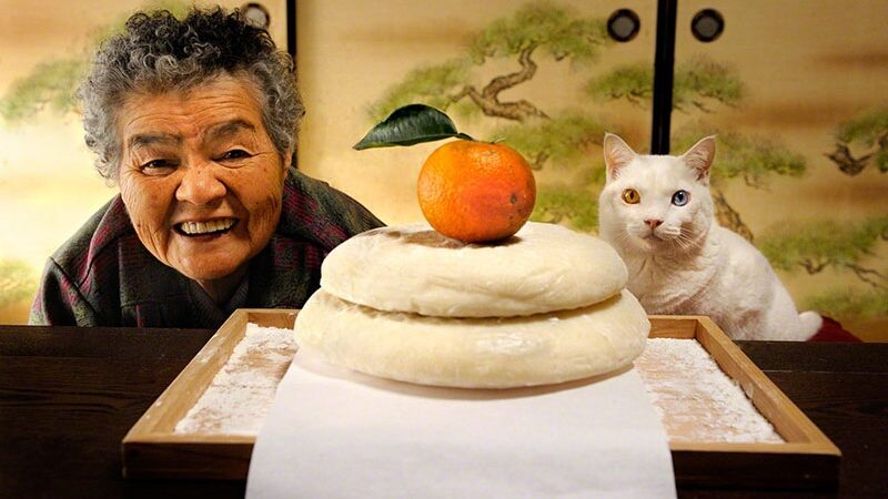 „Didžioji mama Misao” ir jos sėkmę lemianti katė skirtingų spalvų akimis (foto)