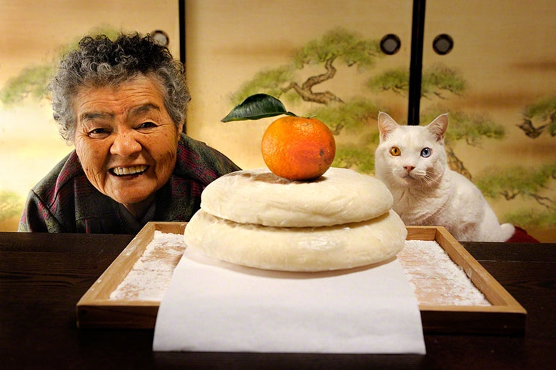 „Didžioji mama Misao" ir jos sėkmę lemianti katė skirtingų spalvų akimis (foto)
