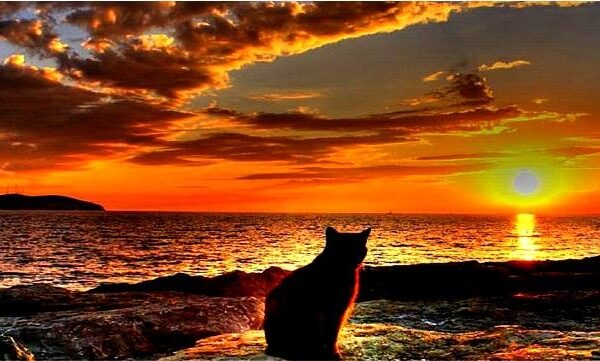 Kokiais orais atsisveikins vasara?