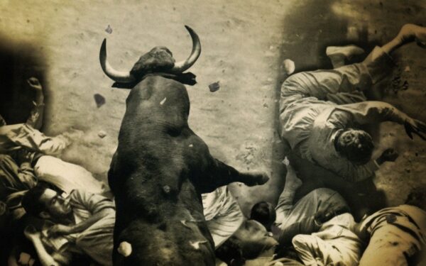 Dokumentinių filmų programa „Adrenalinas“ – puiki alternatyva krepšiniui