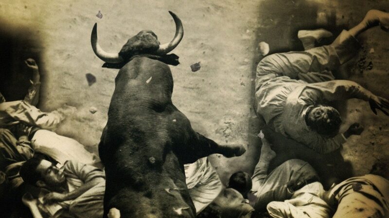 Dokumentinių filmų programa „Adrenalinas“ – puiki alternatyva krepšiniui