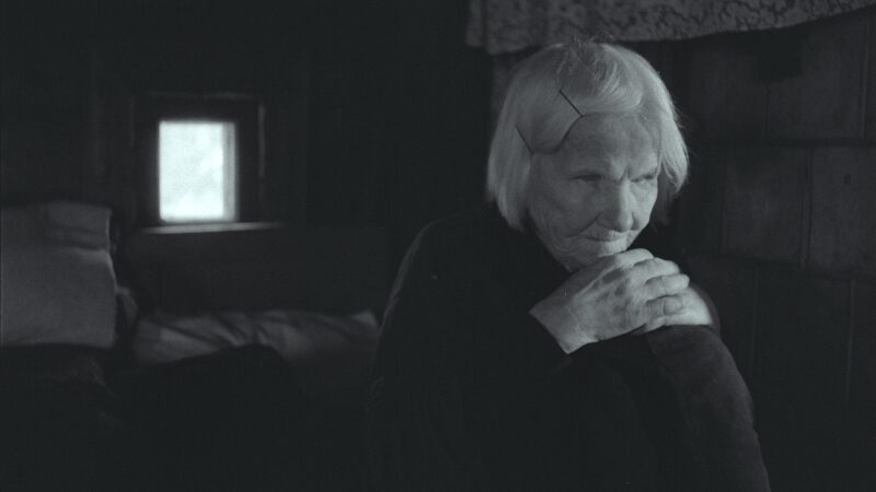 „Scanoramoje“ – Audriaus Stonio „Neregių žemė“