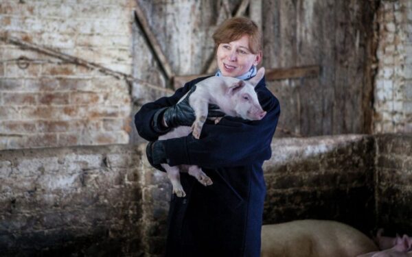 Kiauliškas kapitalizmas sugriovė sieną: po 17 metų lietuviškas filmas – Toronto kino festivalyje