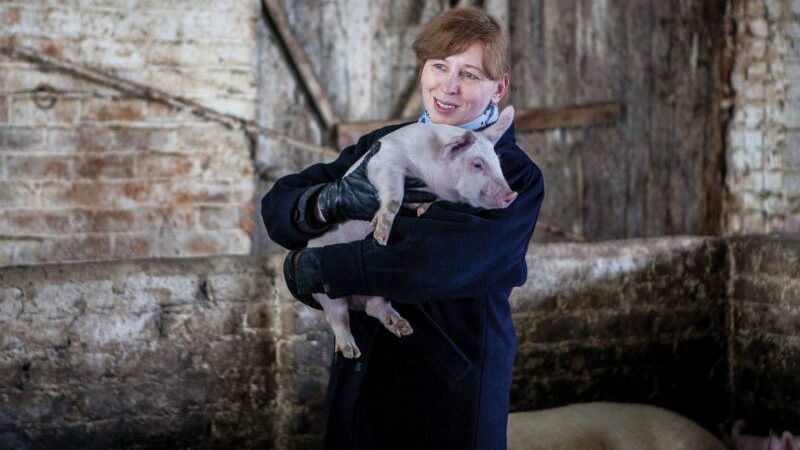 Kiauliškas kapitalizmas sugriovė sieną: po 17 metų lietuviškas filmas – Toronto kino festivalyje