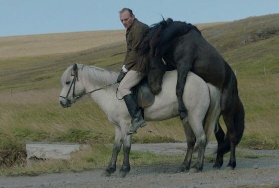 Šiaurės šalių filmuose „Scanoramoje“ – arkliai, alkoholis ir pankės