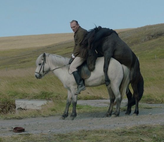 Šiaurės šalių filmuose „Scanoramoje“ – arkliai