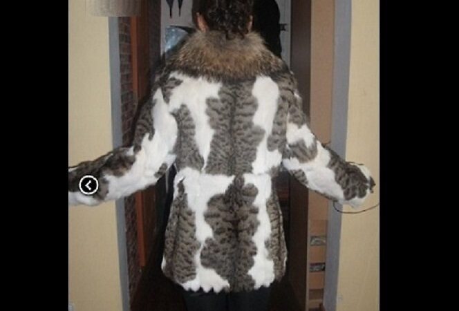 Gyvūnų mylėtojus įsiutino parduodami kailiniai „iš kačių kailio“