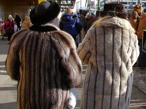 Už dėvėtus kailinius senolė „sumokėjo“ 6 500 Lt