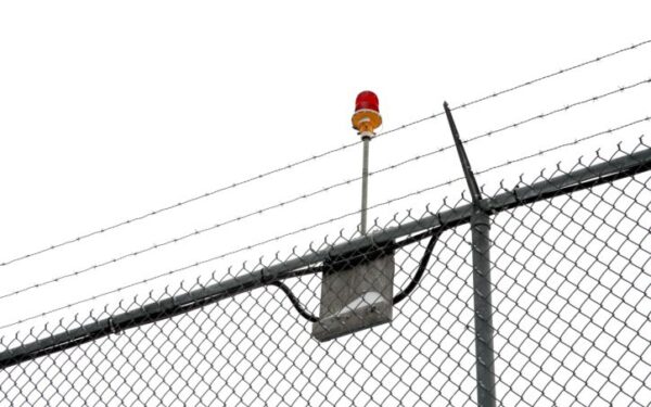 Paradoksalus teisingumas: Už kanapių auginimą – 10, už nužudymą – 7 metai nelaisvės