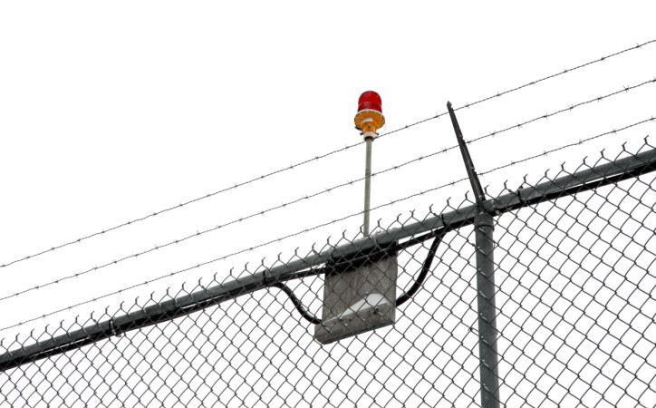 Paradoksalus teisingumas: Už kanapių auginimą – 10, už nužudymą – 7 metai nelaisvės