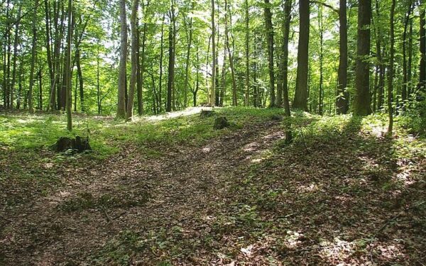 Kretingos rajone aptikti du nauji piliakalniai