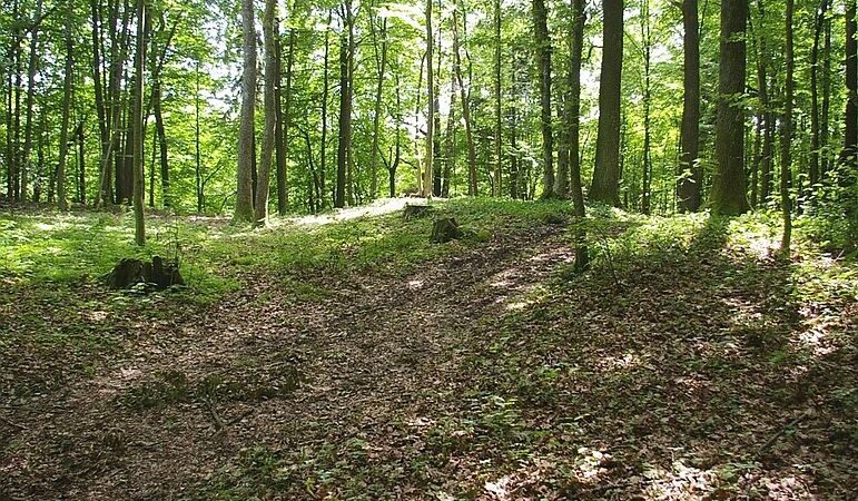 Kretingos rajone aptikti du nauji piliakalniai