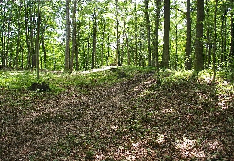 Kretingos rajone aptikti du nauji piliakalniai