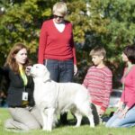 Kaniterapijos užsiėmimai – terapija su dresuotais šunimis