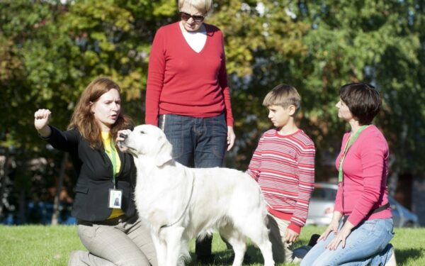 Kaniterapijos užsiėmimai – terapija su dresuotais šunimis