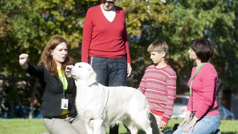 Kaniterapijos užsiėmimai – terapija su dresuotais šunimis