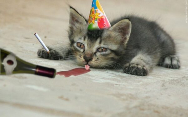 Alkoholizmas gyvūnijos ir augalijos pasaulyje