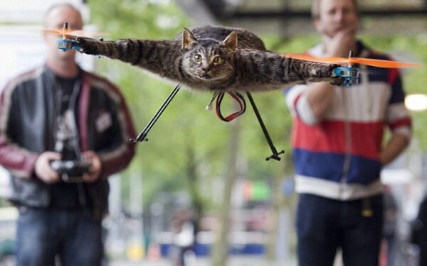 Partrenkė katiną? Menka bėda – iš jo galima pasidaryti sraigtasparnį!