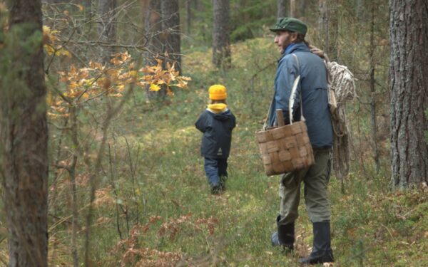 Keliauk kitaip – drevinė bitininkystė Musteikoje