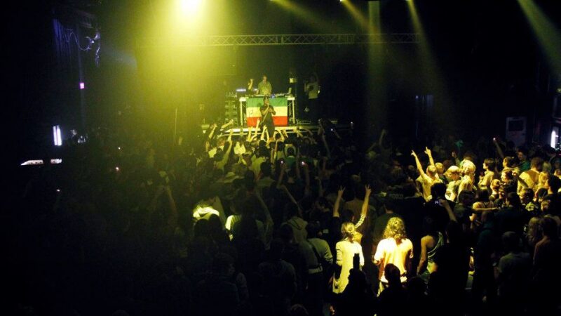 „The Kings“ vakarėlio organizatorius: „Reggae ir jungle muzikos gerbėjai – ne vien vegetarai“