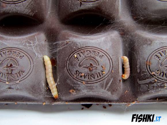 Kirmėlės šokolade su riešutais – dėl vartotojų kaltės (video)