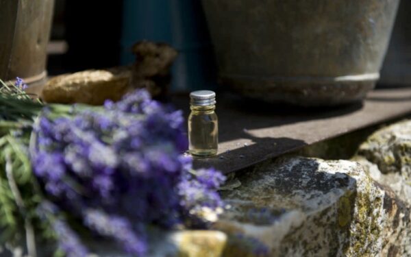 Kokius kvapus rinktis žiemos metu