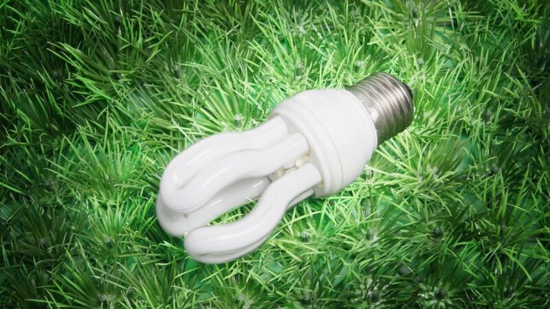 Svarbūs faktai apie energiją taupančias lemputes