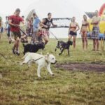 Festivalyje „Galapagai“ - šunų ir jų šeimininkų lenktynės