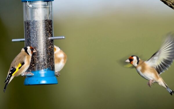 Savaitgalio orai: pamažu artėsime link žiemos